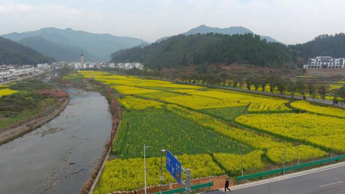 4K航拍婺源油菜花龙天塔