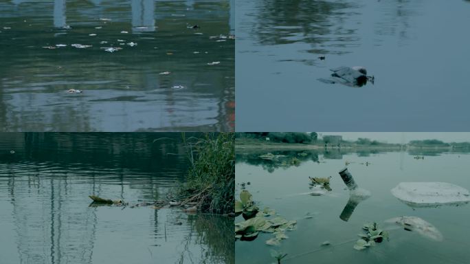排污口河水污染垃圾漂浮物死鱼