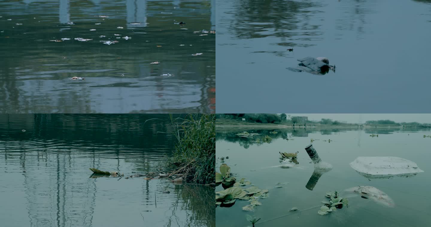 排污口河水污染垃圾漂浮物死鱼