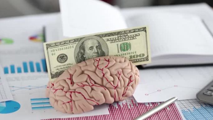 人脑模型与100美元的钞票与图表