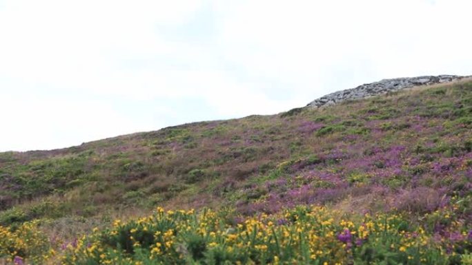 爱尔兰海岸的石岩山徒步旅行路径。布雷，灰石