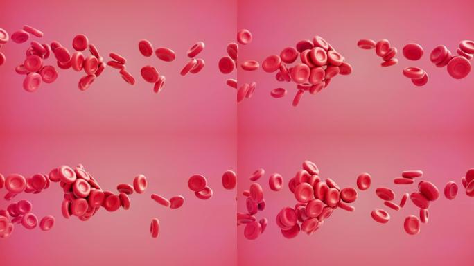血细胞的3D渲染血细胞的3D渲染