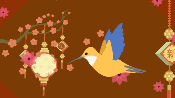 棕色上的樱花和中国灯笼蜂鸟插图动画