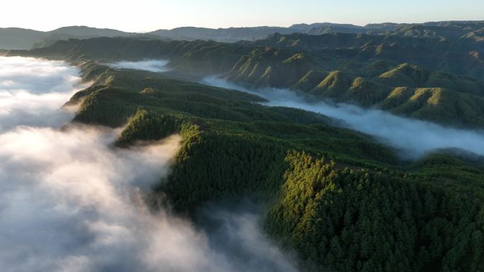 青山绿树云海