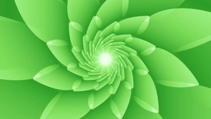 浅绿色花卉形状，带尖锐角度的叶子环状动画背景