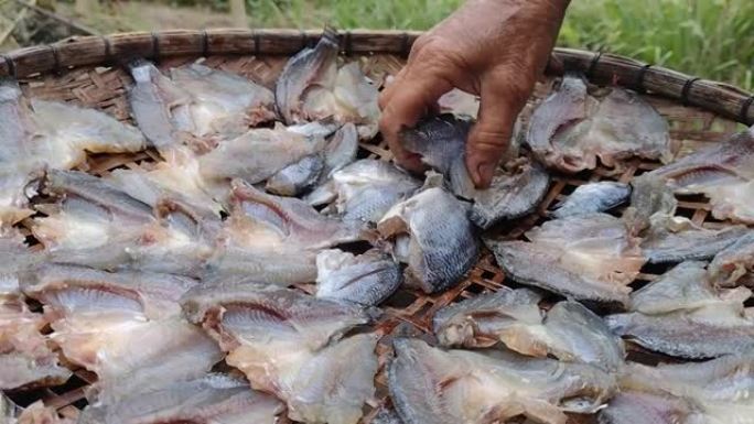 渔民在泰国晒鱼制作干鱼。