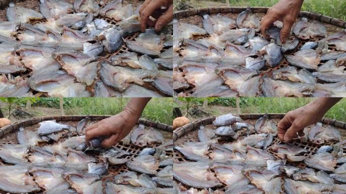 渔民在泰国晒鱼制作干鱼。