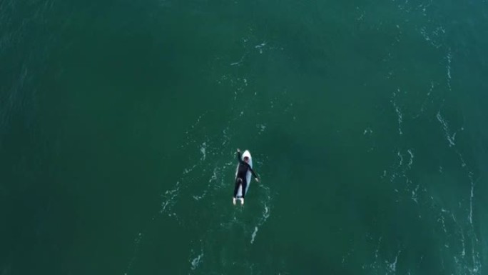 一个无法辨认的男性冲浪者躺在木板上游泳并划着手向波浪的鸟瞰图。高质量4k镜头