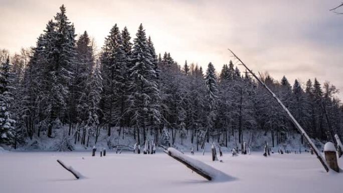 美丽的冬季风景，相机向湖边左移。