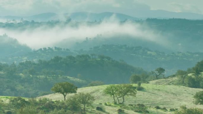 薄雾在软木橡树上穿越阿连特茹山丘时的缓慢流逝