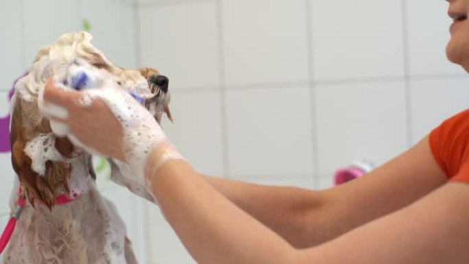 美容沙龙的女性美容师用浴缸里的洗发水洗脸。