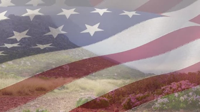 美国国旗在绿草山坡上的动画