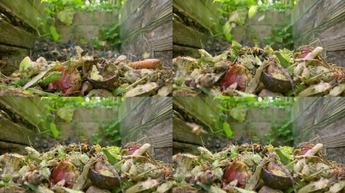 当黄蜂飞翔时，碎屑添加到彩色堆肥堆中。慢动作