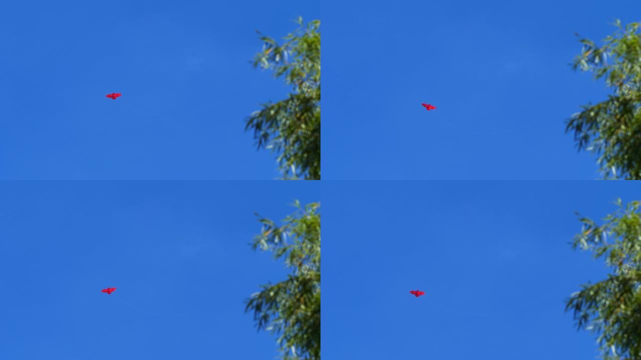 飞翔的红鸟像风筝，有着非常长的风筝线，蓝天背景，童年自由玩具放松概念，4k慢动作镜头。