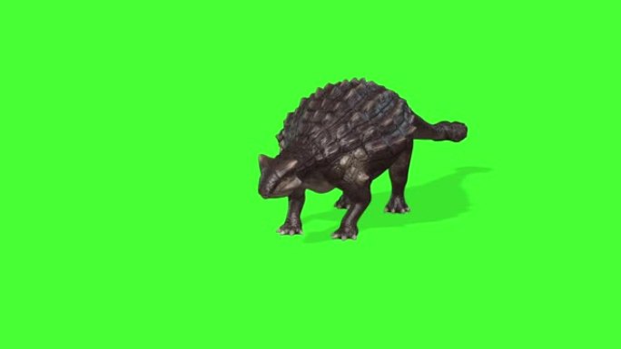 绿色屏幕上甲龙类恐龙的3d动画，色键