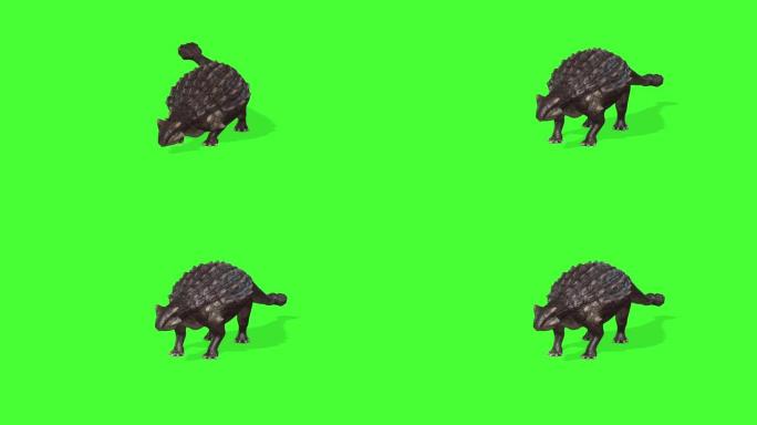 绿色屏幕上甲龙类恐龙的3d动画，色键
