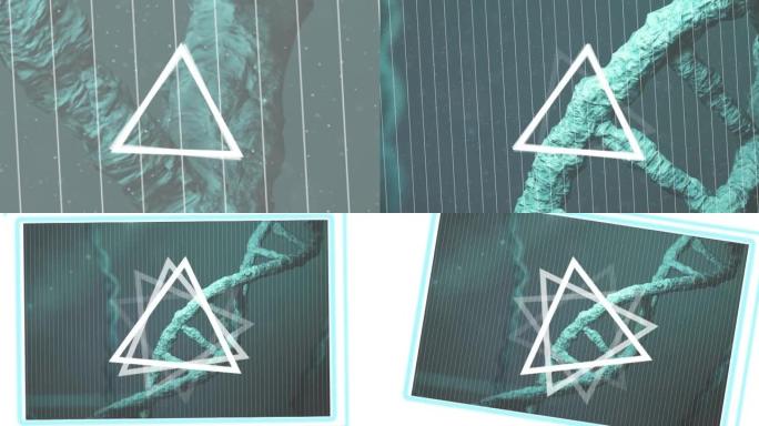dna链纺丝上的三角形动画