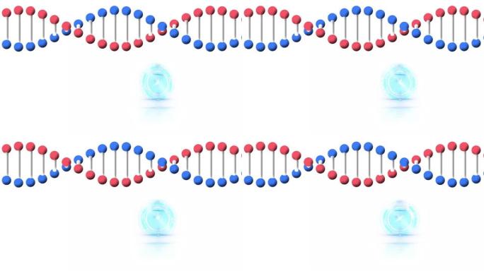 白色背景上时钟快速移动和脱氧核糖核酸链旋转的动画