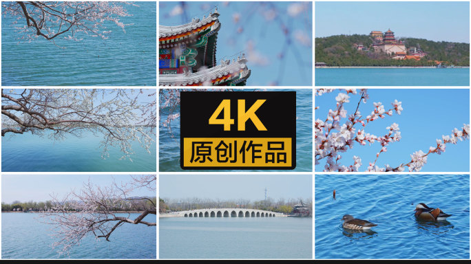【4K】春天的北京颐和园自然风光