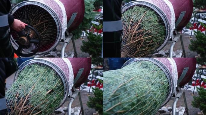 户外市场上的绿色圣诞树拉过网包装包装机漏斗管