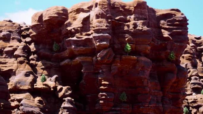 红色岩石砂岩山组前的特写视图，悬崖上长着绿树