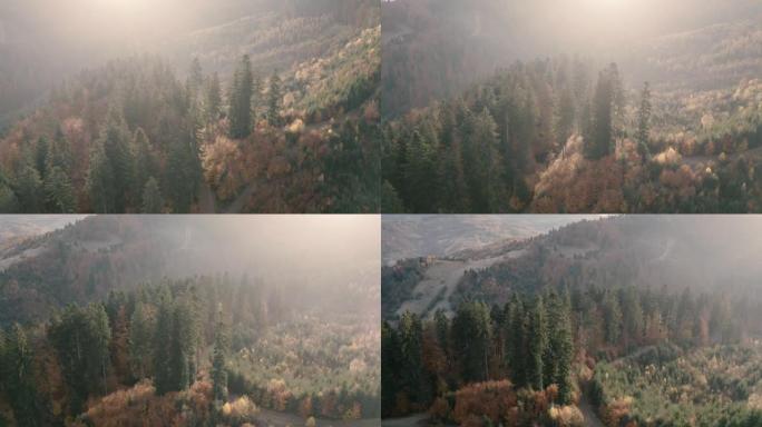 山区的秋季针叶和落叶林。无人机视图。