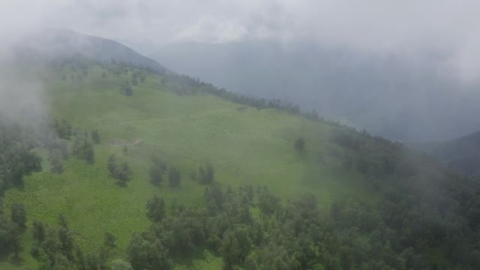 绿山的空中静态视图，树木穿过云，雾。马，在山腰的草地上放牧的公羊。俄罗斯北高加索下阿尔克希兹景观