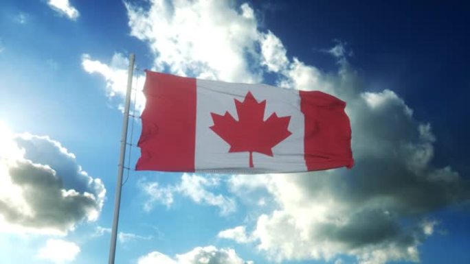 加拿大国旗在美丽的蓝天下迎风飘扬