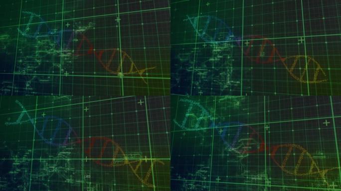 绿色网格和彩色dna链在处理数据上旋转的动画