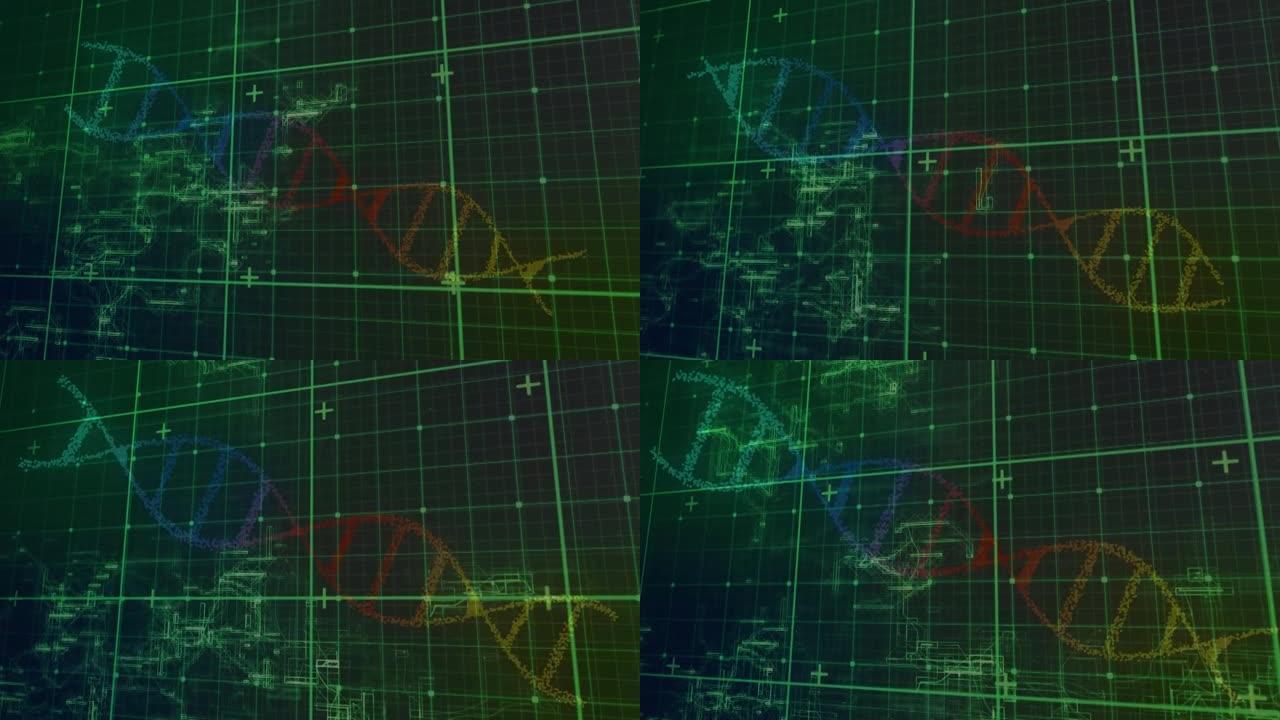 绿色网格和彩色dna链在处理数据上旋转的动画