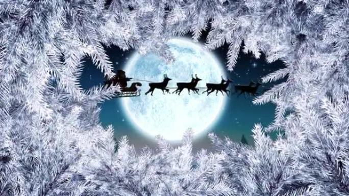 圣诞节白色冷杉树框和满月圣诞老人雪橇动画