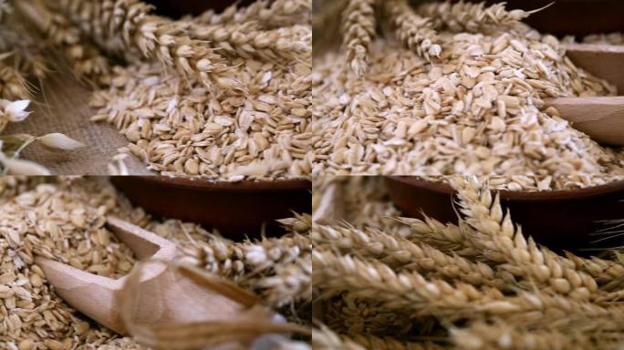 特写。一整只新鲜燕麦的木勺。燕麦和新鲜小穗的成分
