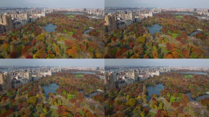 中央公园被高层建筑包围的秋季彩树的空中全景镜头。大都市的大自然。美国纽约市曼哈顿