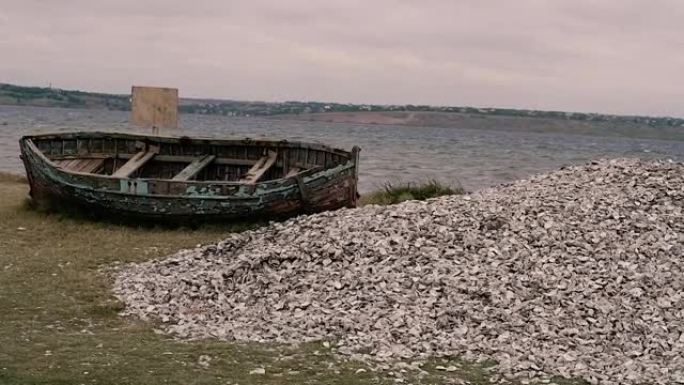 牡蛎。河口的河岸上有牡蛎的贝壳山。