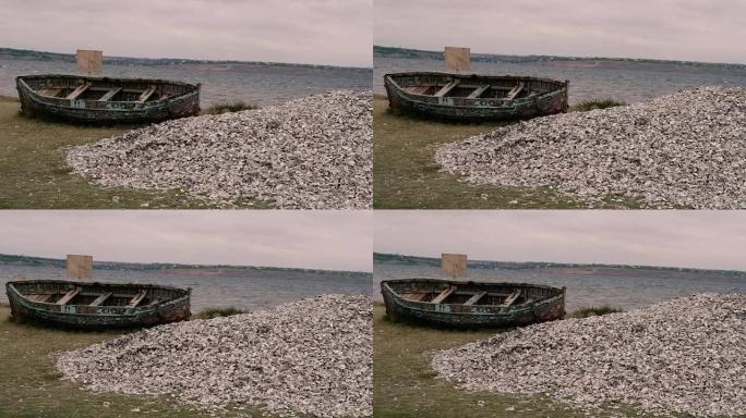 牡蛎。河口的河岸上有牡蛎的贝壳山。
