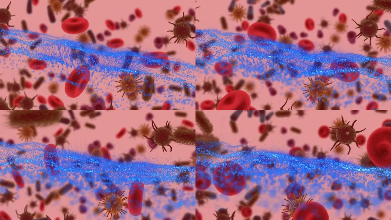 红色背景上移动细胞的蓝波动画