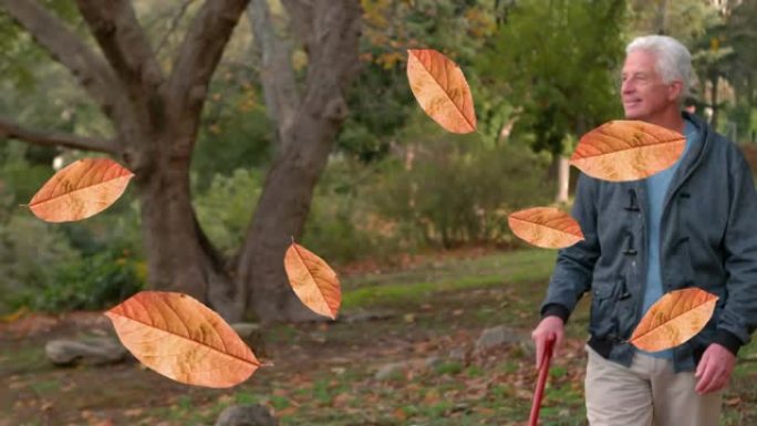 秋叶的动画落在公园快乐的高加索老人上