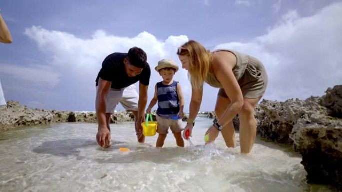 多代家庭在海滩上在水中玩耍