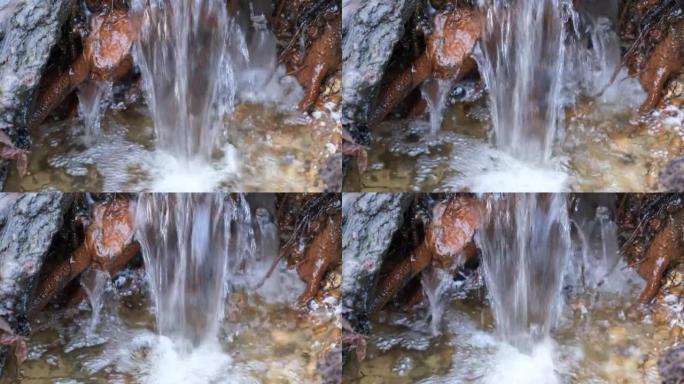 淡水溪流像岩石和树根一样迅速层叠瀑布。埃塞克斯古诺里西伍德