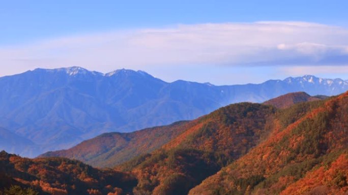 美丽的山脉和秋树高山峰森林海云海翻滚