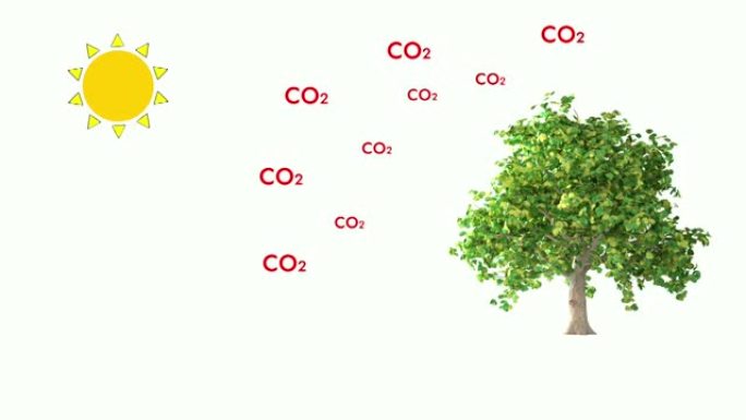 光合作用，迈向碳中和的第一步。
