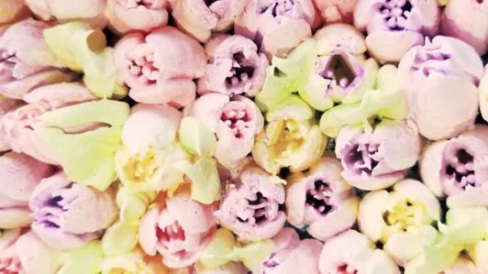 郁金香形式的甜棉花糖。节日甜点。横幅以柔和的花卉风格表示祝贺，壁纸为屏幕保护程序。