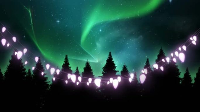 夜空中多棵树和闪亮的星星上发光的仙女灯装饰