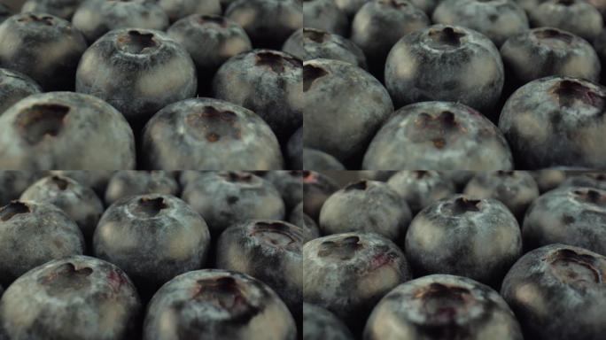 蓝莓深色的宏观照片。野生灌木的圆形小浆果。药品生产的成分。维生素