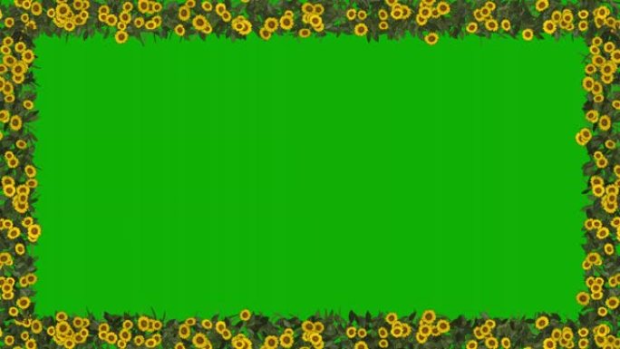 绿色屏幕背景装饰花框运动图形