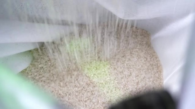 现代农业工厂用白色麻袋加工和包装大米