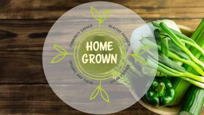 自制素食主义者的动画制作绿色文本，在木板上的一碗新鲜蔬菜上