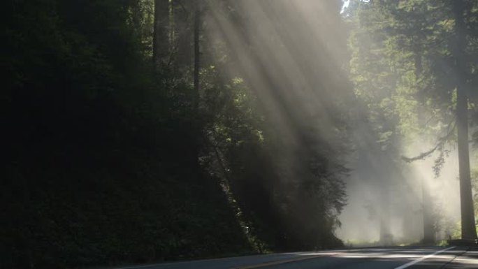 风景秀丽的加州高速公路101被沿海大雾覆盖
