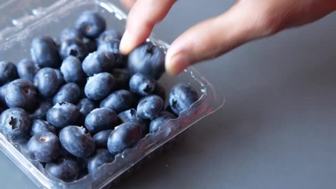 从桌子上的塑料盒中手工采摘蓝色浆果