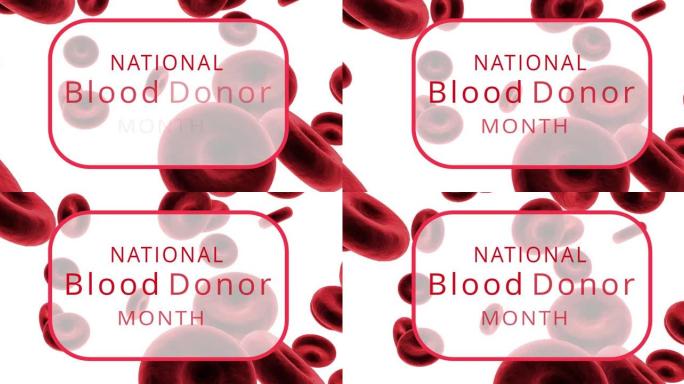 动画国家献血者月文字越过红血球在白色的背景